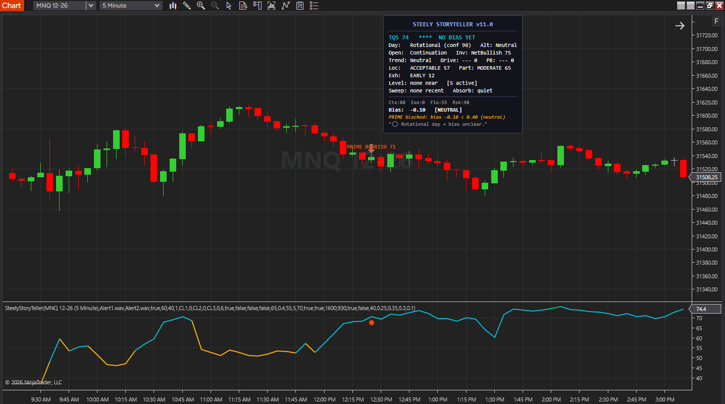 SteelyStoryTeller on a NinjaTrader 8 chart